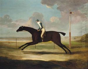 Scorpion, With Jockey Up, On Musselburgh Racecourse by Francis Sartorius the Younger
