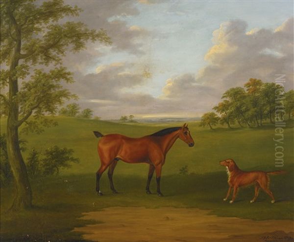 A Hunter And A Retriever In An Extensive Wooded Landscape - view 1