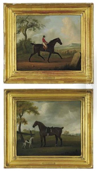 Phenomenon (+ A Favorite Hack; 2 Works) - view 1