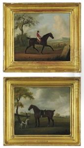 Phenomenon (+ A Favorite Hack; 2 Works) by John Francis Sartorius