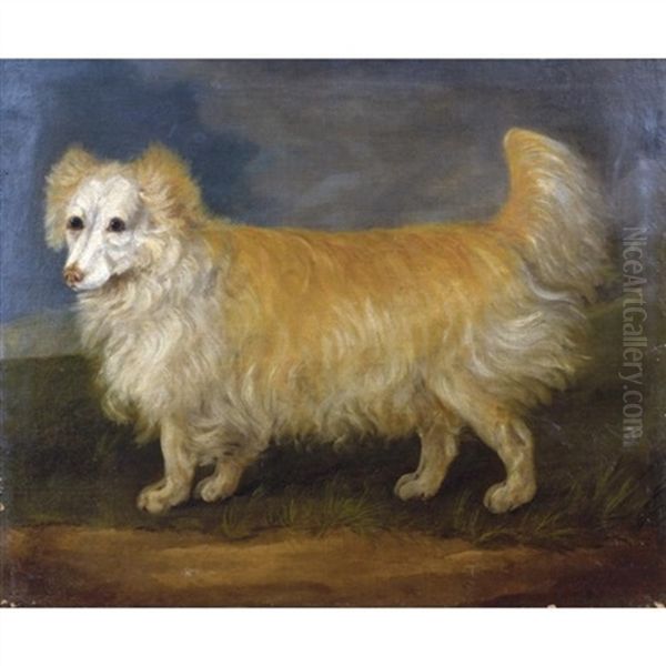 A Favourite Dog - view 1