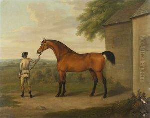 Chestnut Hunter With Groom