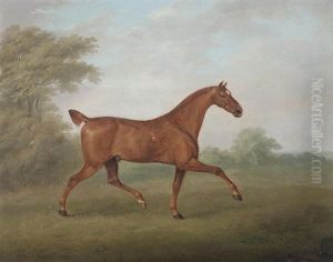 Bay Horse With Spaniel