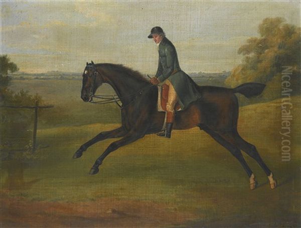 A Hunter Being Excercised By A Groom - view 1