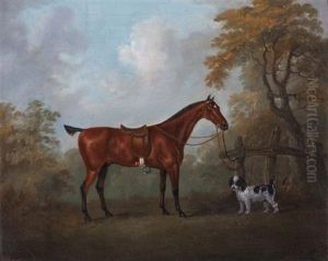 Chestnut And Dog