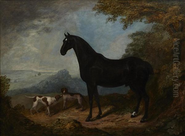 A Horse And Dogs In A Landscape - view 1