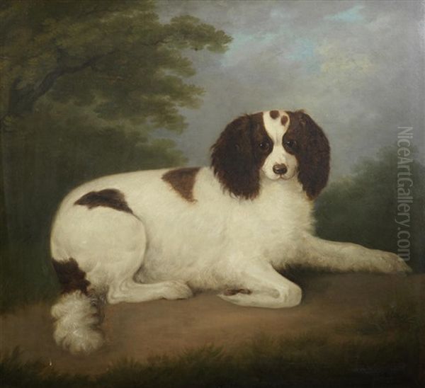 A Liver And White Spaniel - view 1