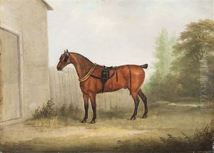 Ein Gesattelter Brauner
