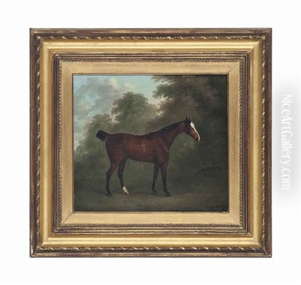 A Bay Horse In A Wooded Landscape - view 1