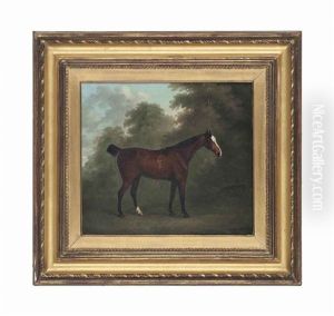 A Bay Horse In A Wooded Landscape