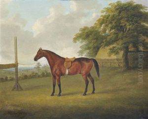Un Cheval Bai Selle Dans Un Champ by John Nost Sartorius