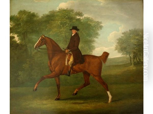 A Gentleman Riding Out On A Bay Hunter In A Park - view 1