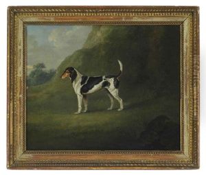 A Foxhound In A Landscape