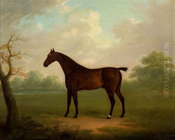 Portrait Of The Hunter "diamond" - view 1