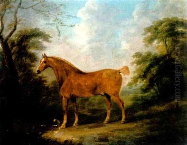 A Chestnut Horse Standing In A Wooded Landscape - view 1