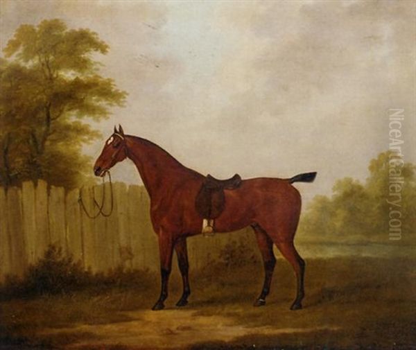 A Saddled Bay Hunter In A Landscape - view 1