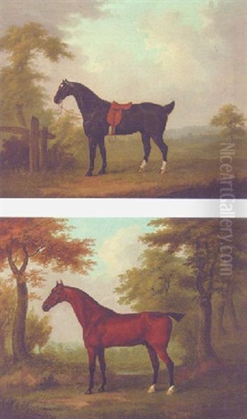 "rustic" A Bay Horse In A Landscape - view 1