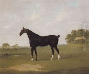 A Black Hunter In A Landscape