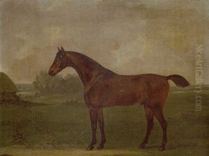 Horse In A Landscape Horse In A Landscape