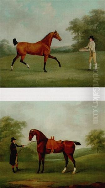 A Bay Hunter With A Groom, In A Wooded Landscape - view 1