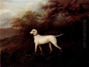 A Pointer Approaching Partridge In A Landscape