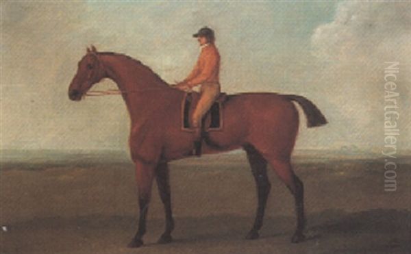 "skylark" With Jockey Up - view 1