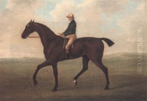 "diamond," A Dark Bay Racehorse, With Jockey Up