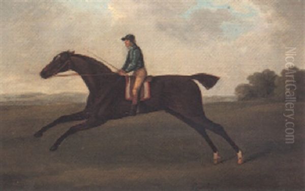 "lurcher" Exercising With Jockey Up - view 1
