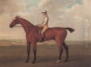"warter," A Bay Racehorse, With Jockey Up