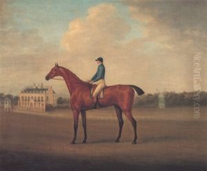 "biddick," A Bay Racehorse, With Jockey Up On Doncaster Racecourse