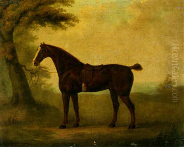 A Cob, Belonging To King George Iii - view 1