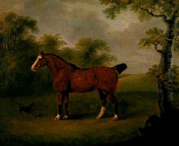 Study Of A Bay Cobb With A Terrier - view 1