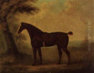 A Cob Belonging To King George Iii