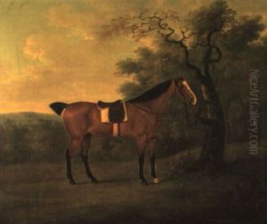 'floss', A Saddled Bay Hunter Tied To A Tree In A Landscape by John Nost Sartorius