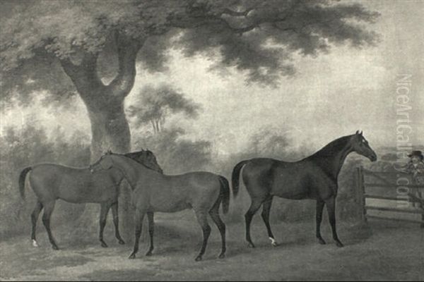Trio Of Bays - view 1