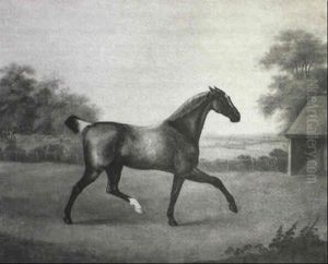 Portrait Of A Grey Hunter Belonging To Mr Jennings Of Gelli-deg Carmarthenshire by John Nost Sartorius