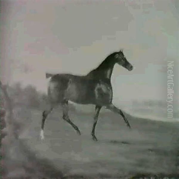 A Dark Bay Hunter In An Extensive Landscape - view 1