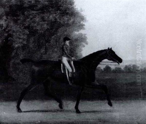 "phenomina" With Jockey Up - view 1