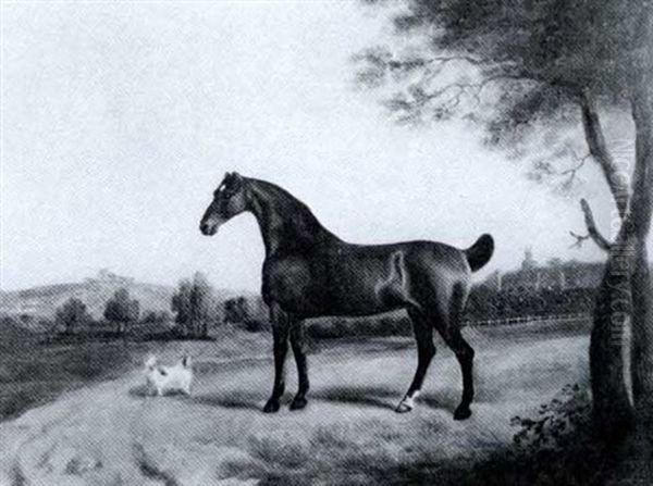 A Bay Hunter, The Property Of John Ives Of Sasburgh, Norfolk, In A Landscape - view 1