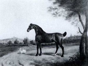 A Bay Hunter, The Property Of John Ives Of Sasburgh, Norfolk, In A Landscape by John Nost Sartorius