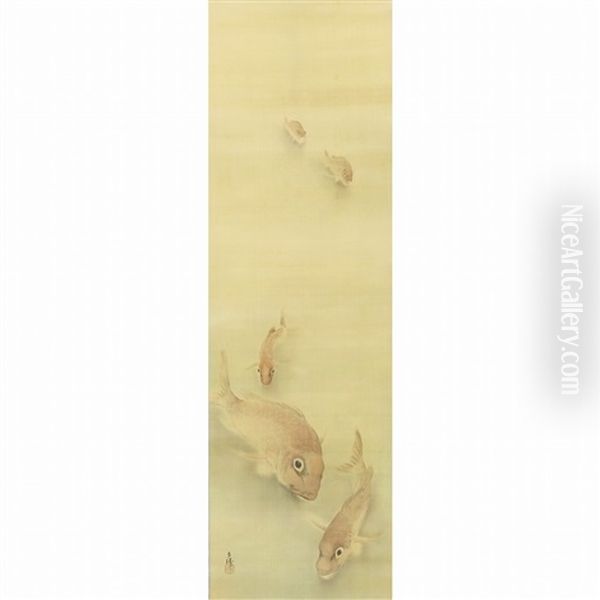 Snapper - view 1