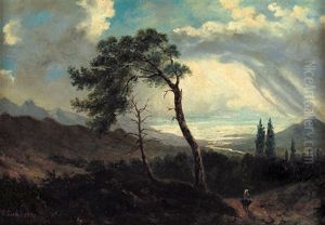 Paesaggio Con Viandante Paesaggio Con Viandante