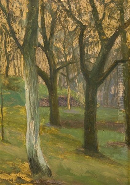 Lesni Interier - view 1