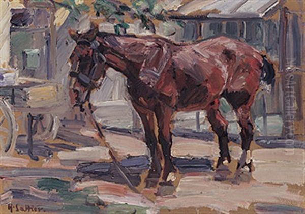 Pferd Im Hof - view 1