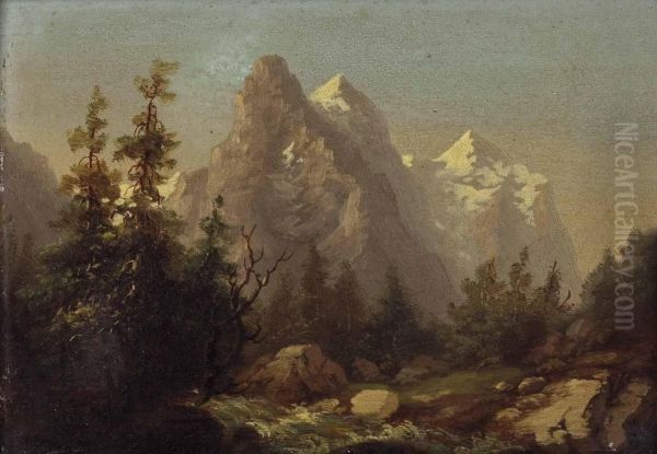 Im Hochgebirge - view 1