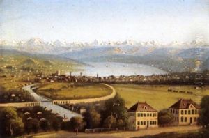 Blick Auf Zurich