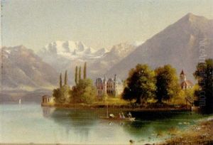 Blick Auf Die Insel Mainau