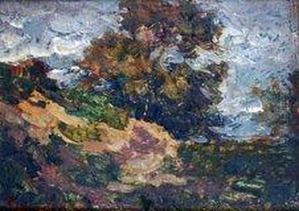Paysage Des Monts Du Lyonnais - view 1