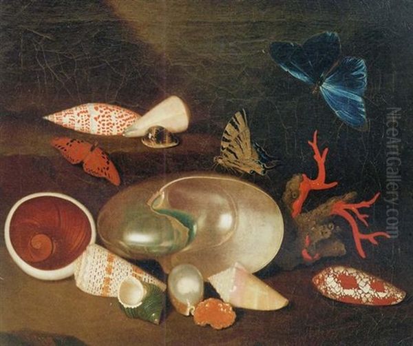 A Still Life Of Shells And Butterflies: A Nautilus, A Horse Conch, A Pearl Oyster, An Atlantic Bubble, A Green Turban, An Alphabet Cone, A Muffin Snail, A Chambered Nautilus And Others - view 1
