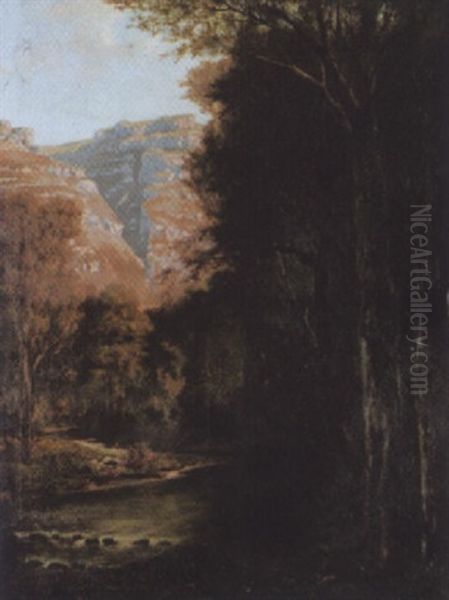 Bewaldete Flusslandschaft - view 1